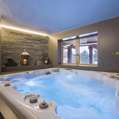 Berarde Chalet Verbier